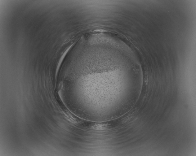 X0000052640664200507011348