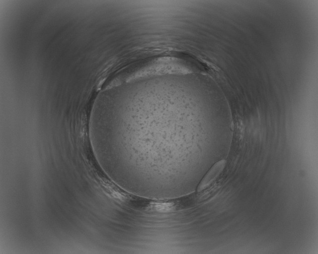 X0000052640665200507011348