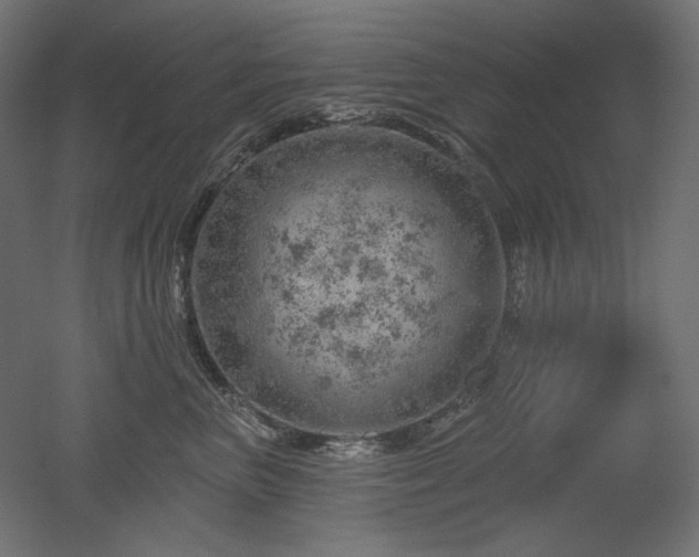 X0000052640667200507011348