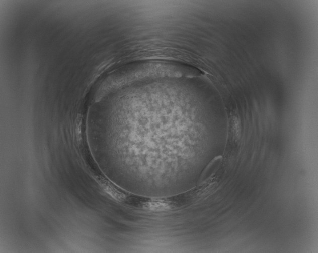 X0000052640668200507011348