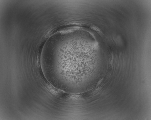 X0000052640669200507011348