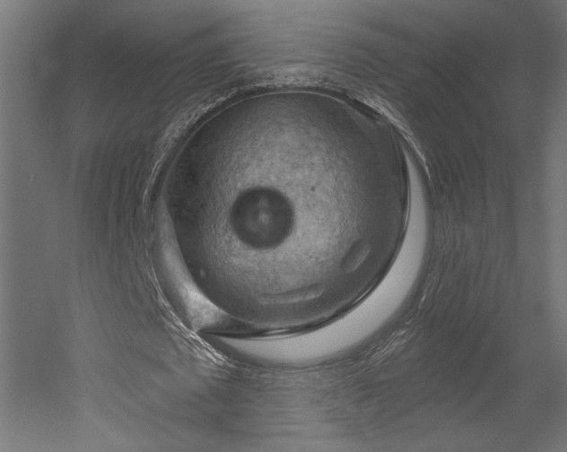 X0000052640673200507011347