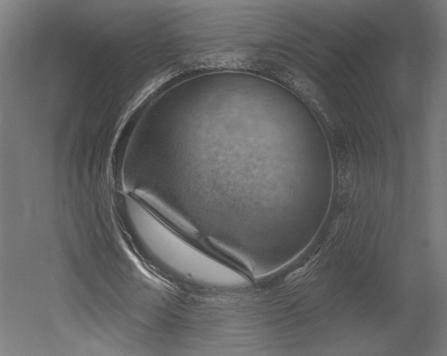 X0000052640674200507011347