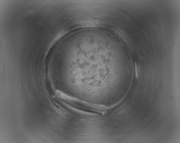 X0000052640675200507011347