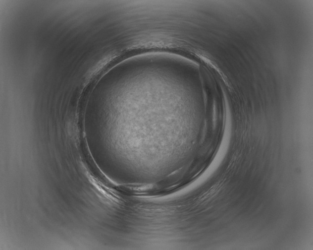 X0000052640677200507011347