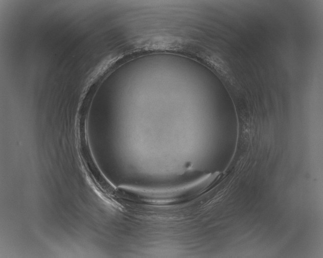 X0000052640678200507011347