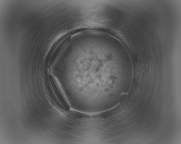 X0000052640679200507011347