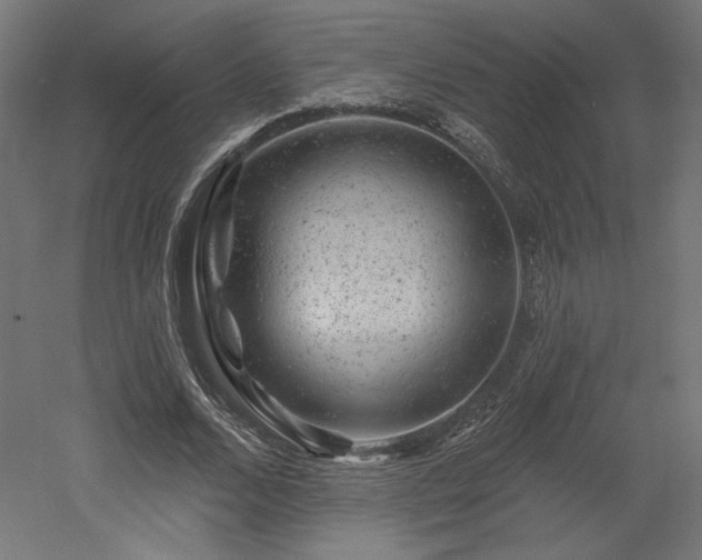 X0000052640680200507011347