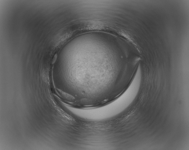 X0000052640681200507011347