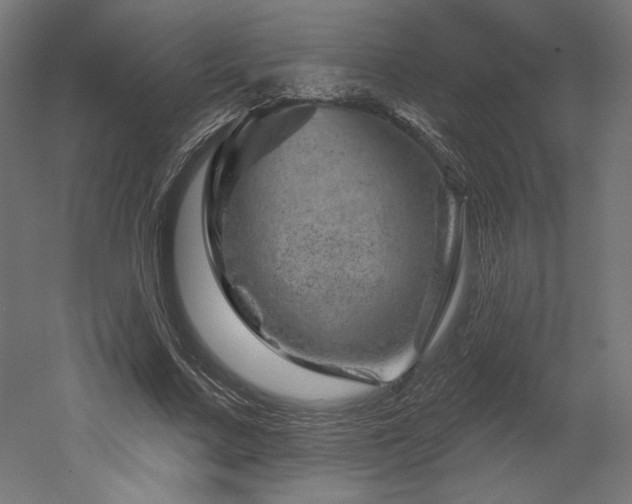 X0000052640683200507011347