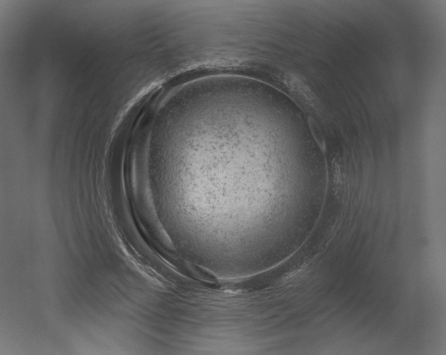 X0000052640684200507011347