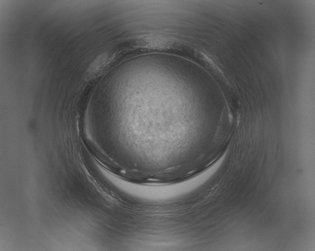 X0000052640685200507011347