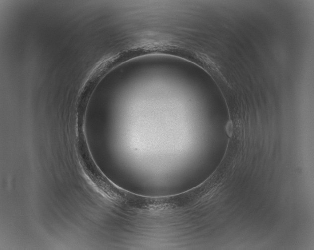 X0000052640686200507011347