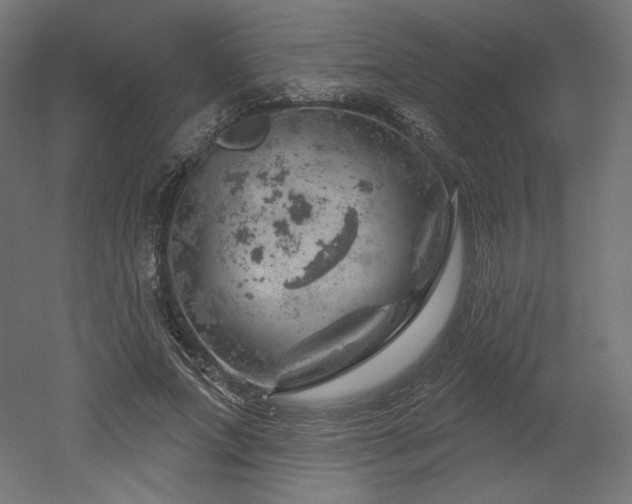 X0000052640687200507011347