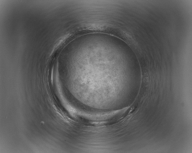 X0000052640688200507011347