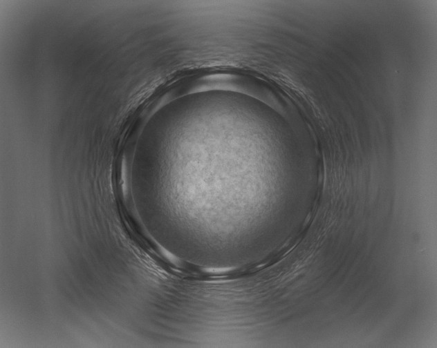 X0000052640689200507011347