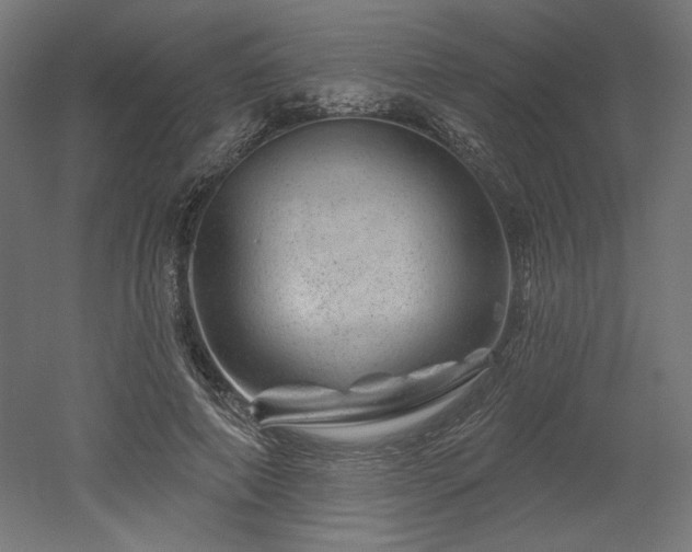 X0000052640690200507011347