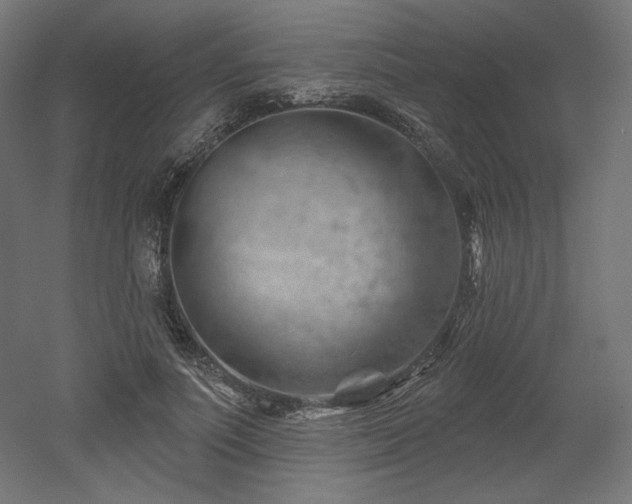 X0000052640691200507011347