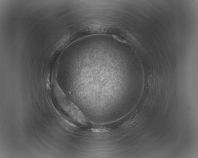 X0000052640693200507011346