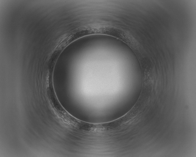 X0000052640694200507011346