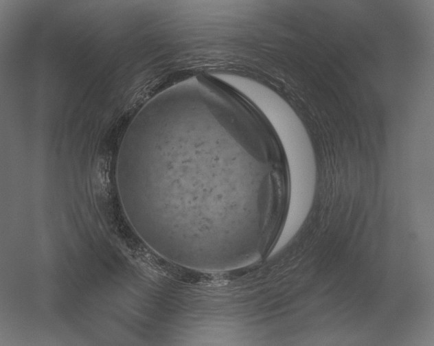 X0000052640695200507011346