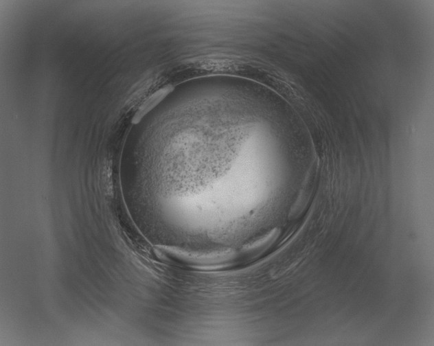 X0000052640696200507011346