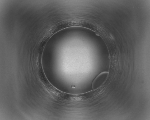 X0000052640698200507011346