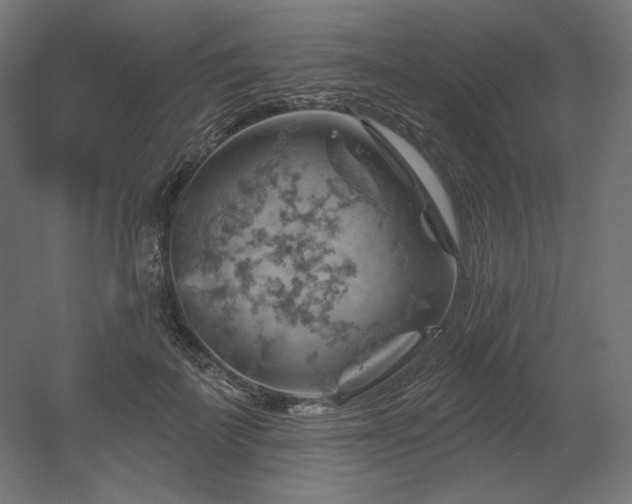 X0000052640699200507011346