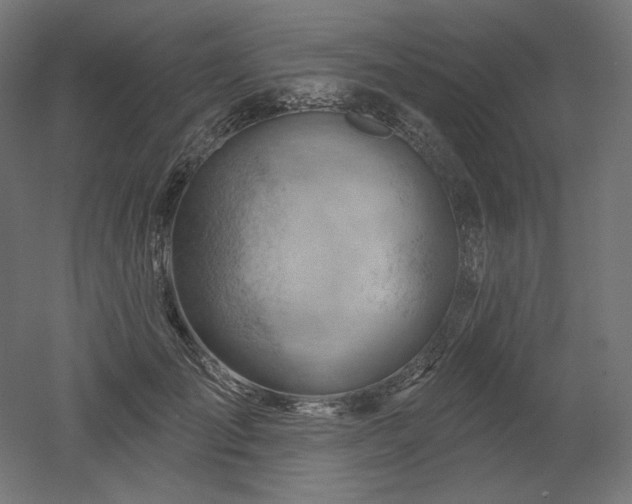 X0000052640701200507011346