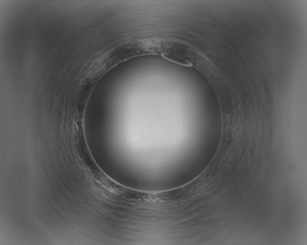 X0000052640702200507011346