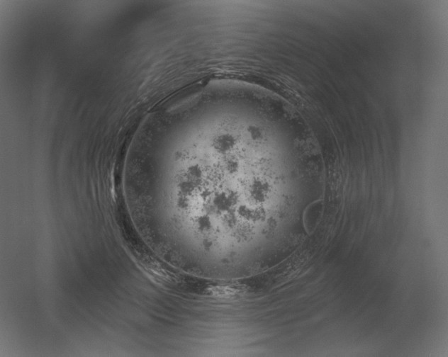 X0000052640703200507011346