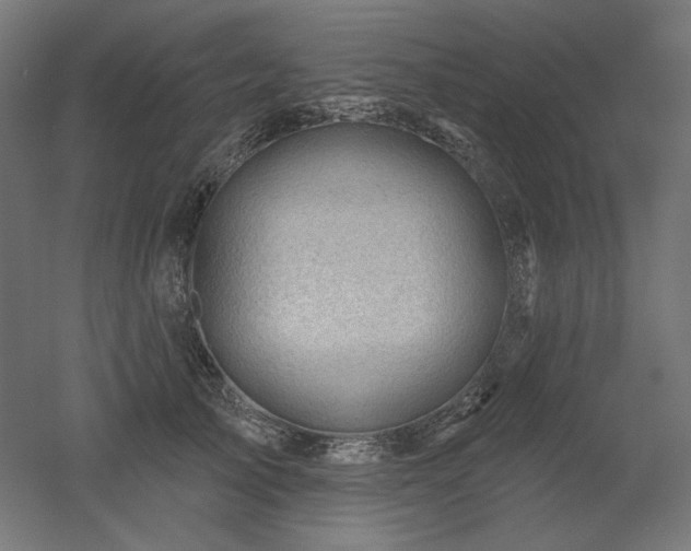 X0000052640705200507011346