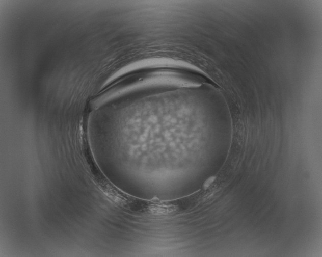 X0000052640707200507011346