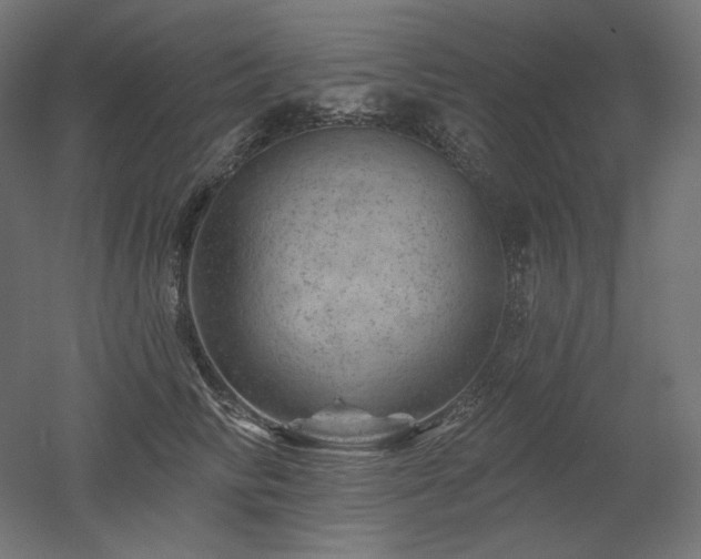 X0000052640710200507011346