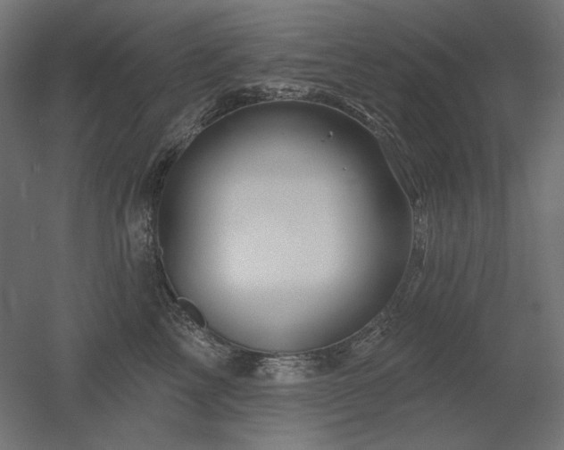 X0000052640713200507011346