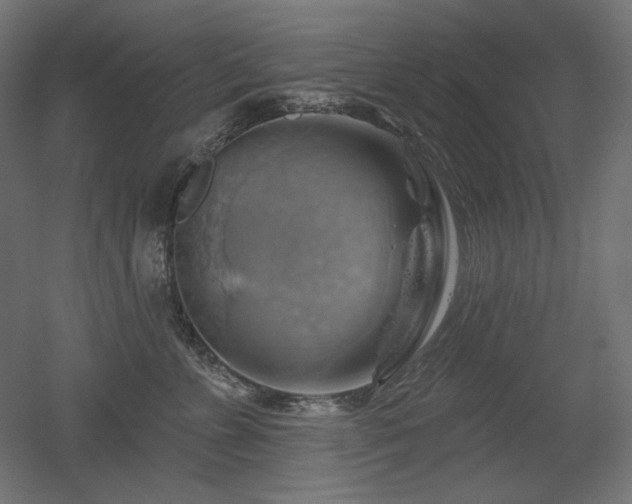 X0000052640715200507011346