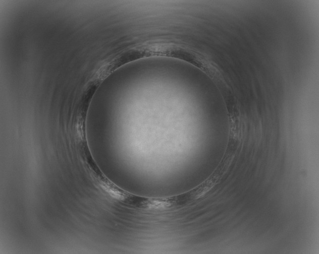 X0000052640718200507011346