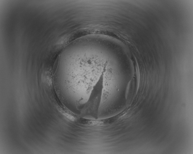 X0000052640719200507011346