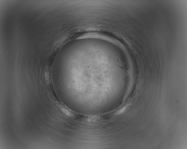 X0000052640720200507011346