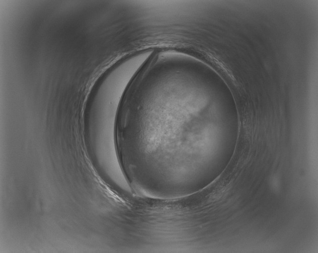 X0000052640721200507011345