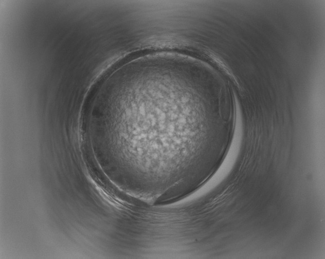 X0000052640722200507011345