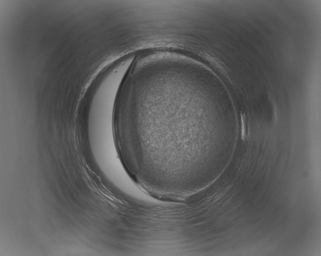 X0000052640723200507011345