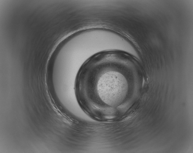 X0000052640724200507011345