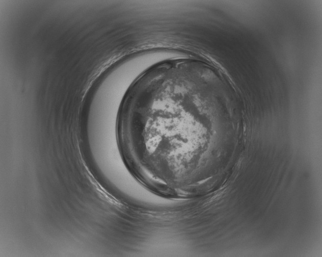 X0000052640725200507011345