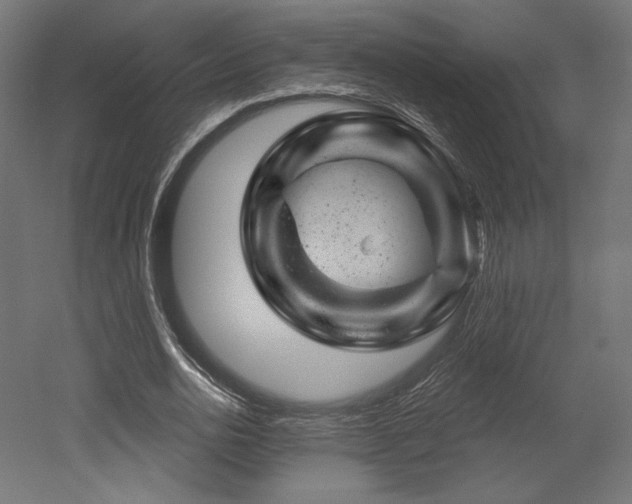 X0000052640726200507011345