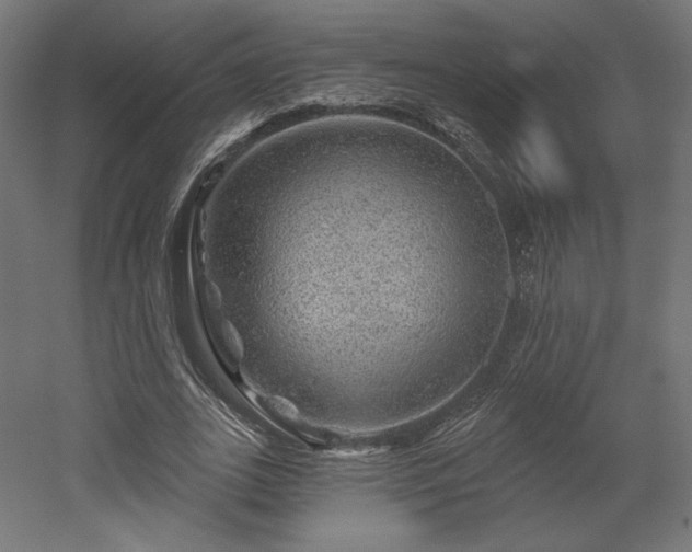 X0000052640727200507011345