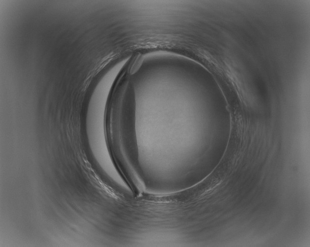 X0000052640729200507011345