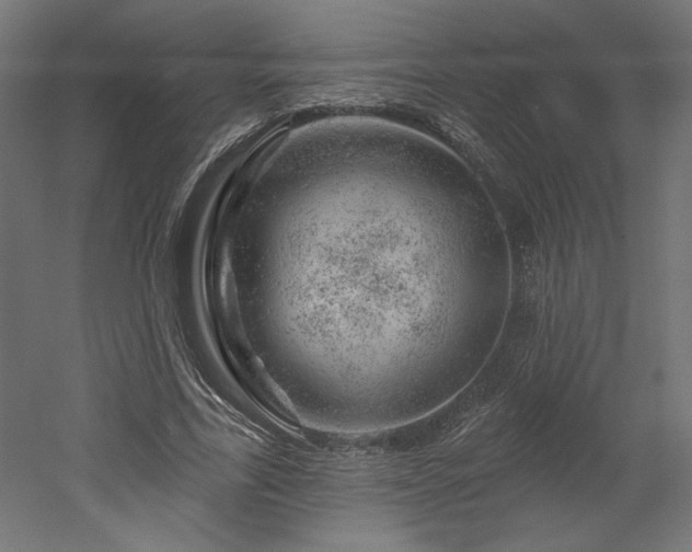 X0000052640731200507011345