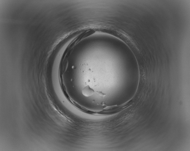 X0000052640732200507011345