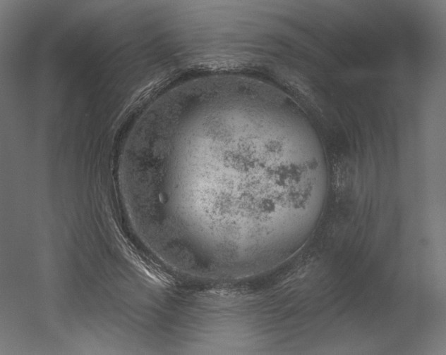 X0000052640733200507011345